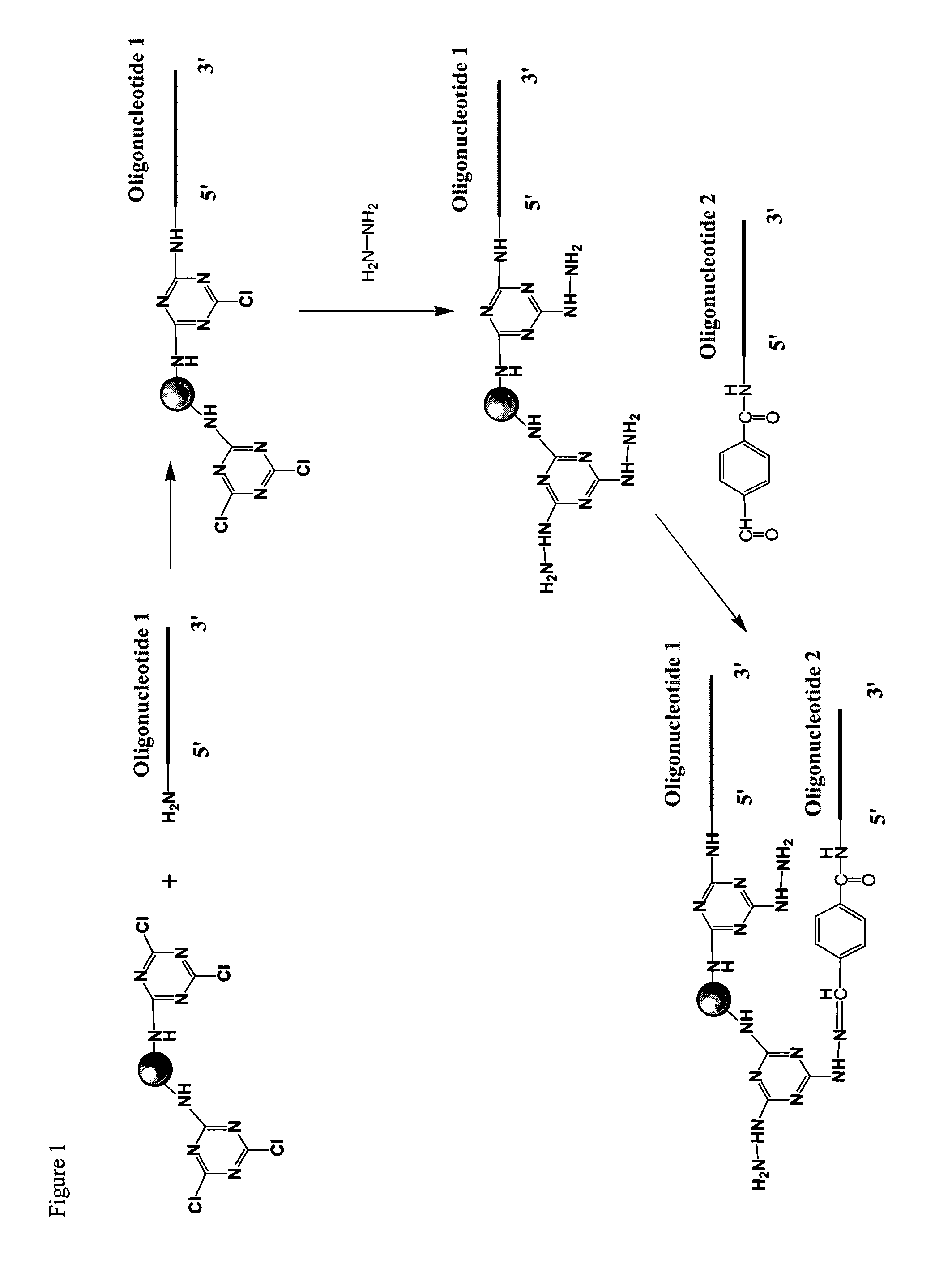 Methods of attaching biological compounds to solid supports using triazine