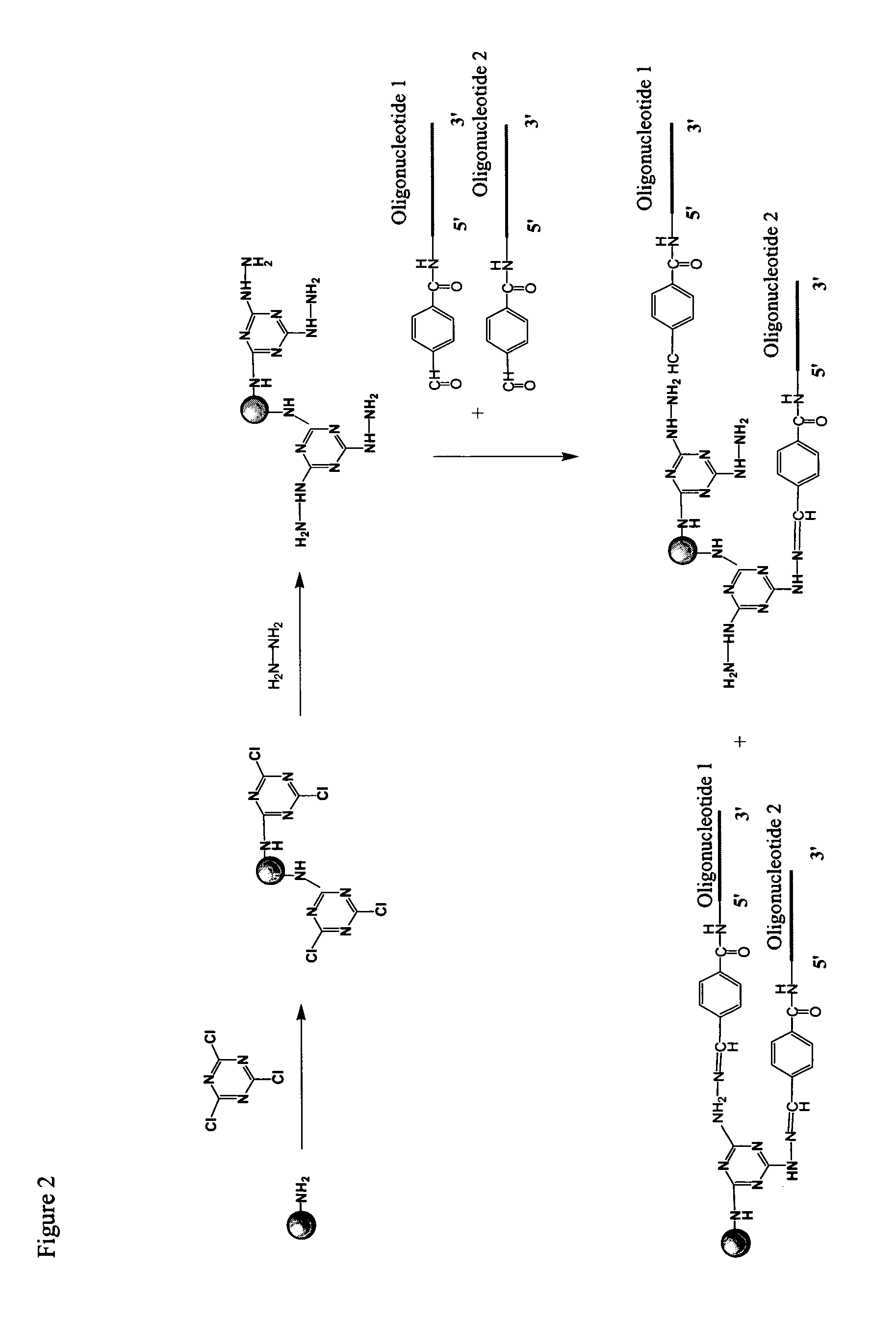 Methods of attaching biological compounds to solid supports using triazine