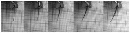 Sulfonated polyarylethersulfone, its preparation method and its application in the preparation of electric actuators