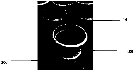 Method for simply researching root aphids