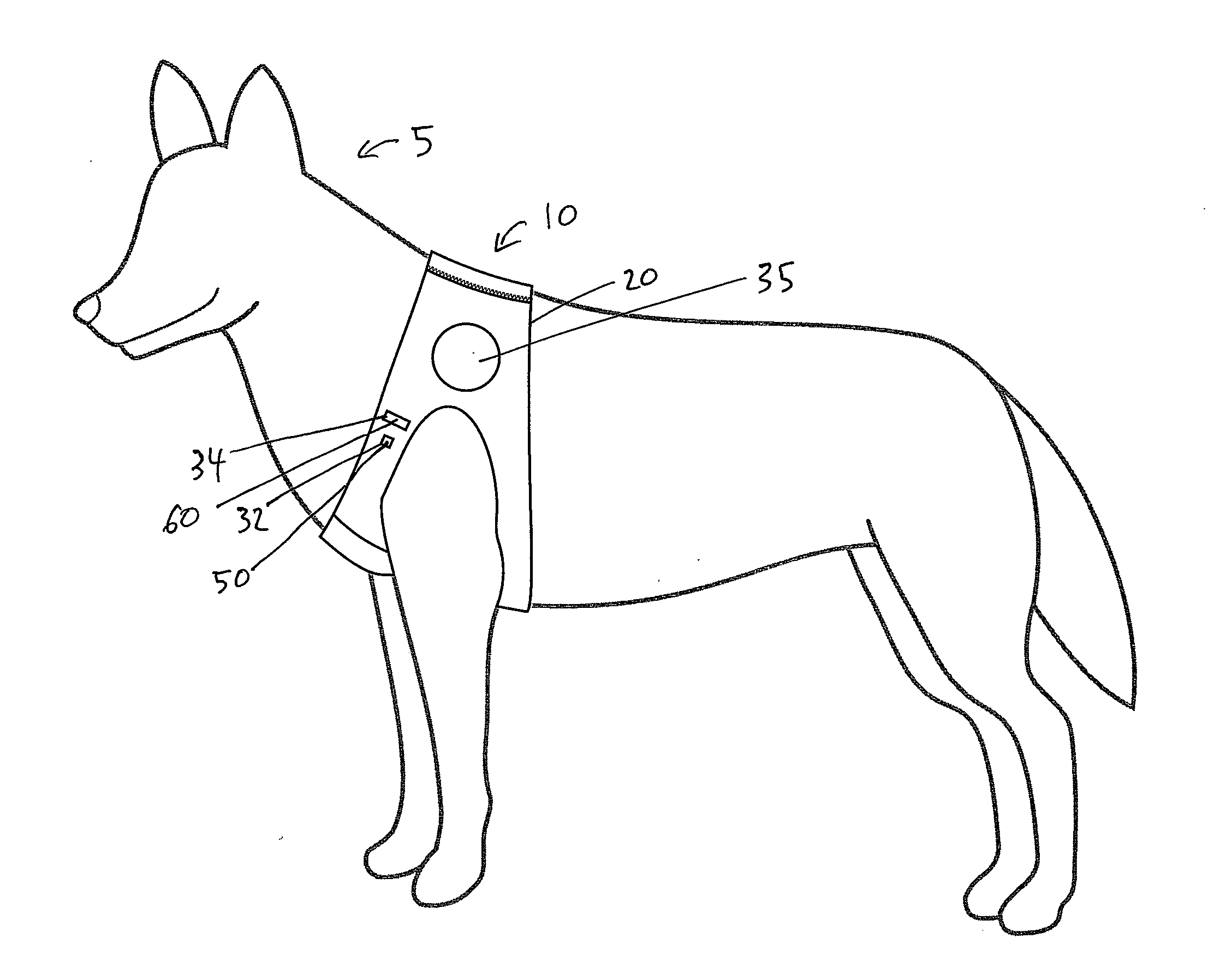 Canine rescue harness