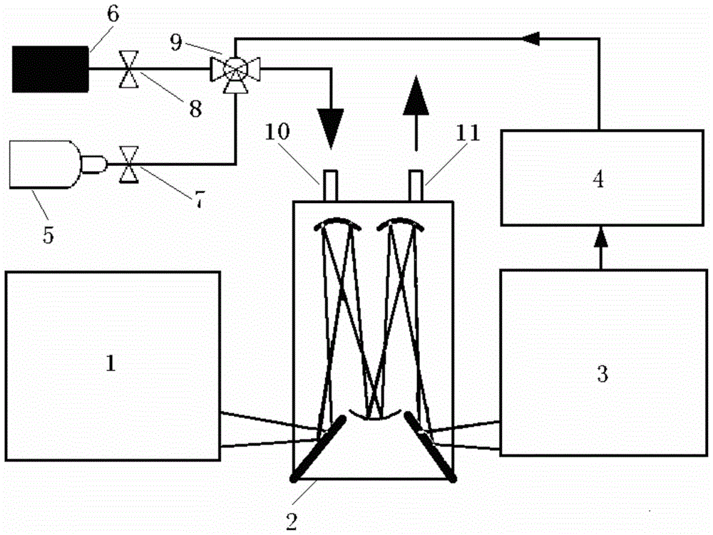 Method and device for automatically eliminating water vapor interference in Fourier transform infrared spectroscopy gas detection