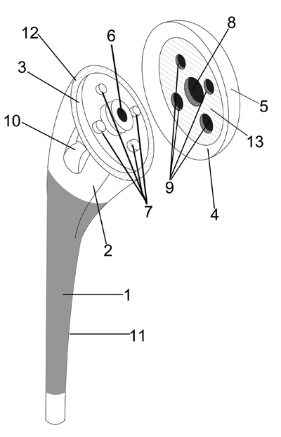 Design method for tantalum coating artificial shoulder prosthesis