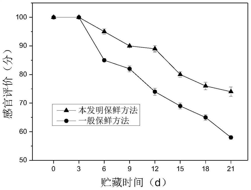 A compound antistaling agent of red bayberry residue extract and its application in cold fresh meat of Chinese giant salamander