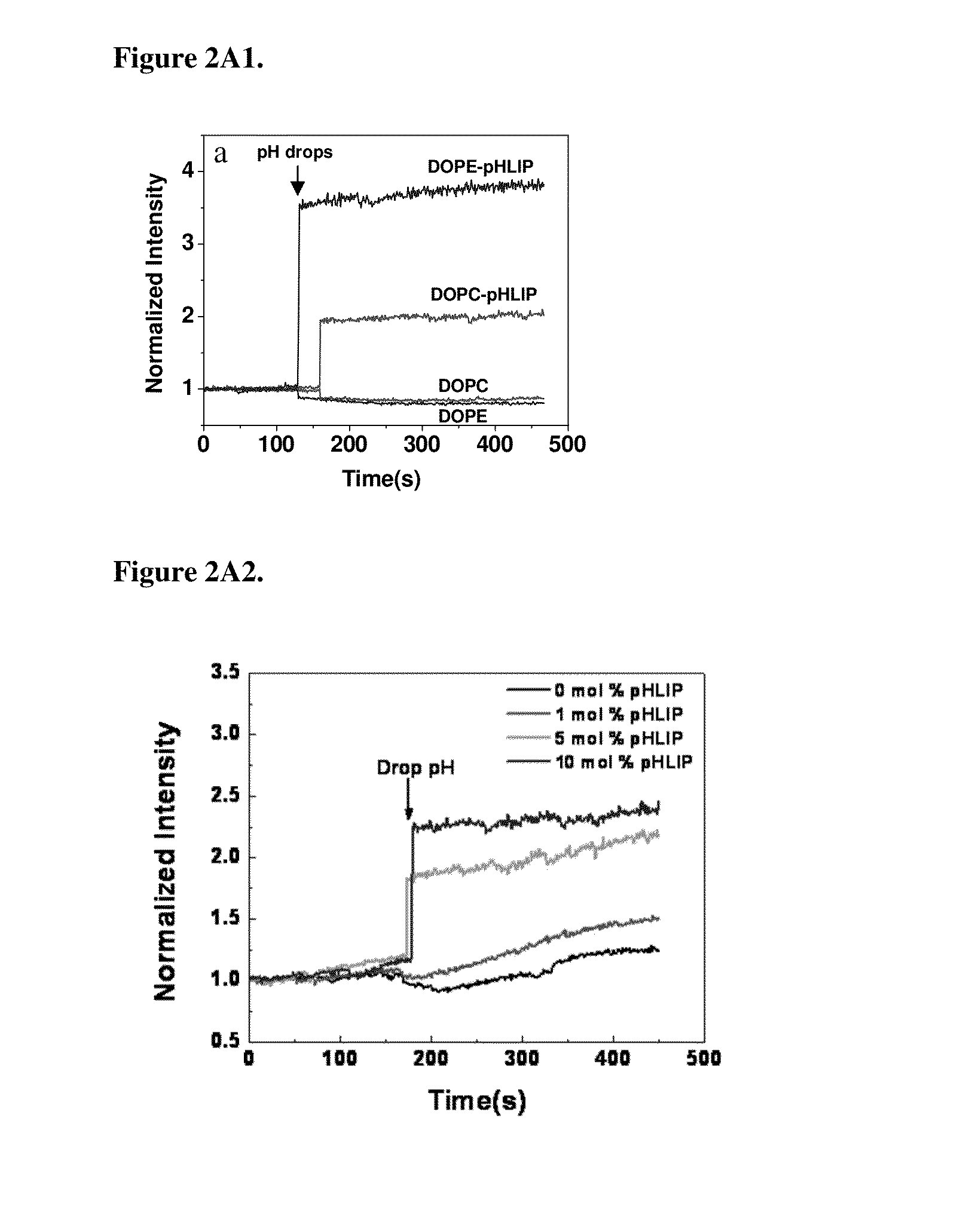 Liposome Structures And Methods of Use Thereof