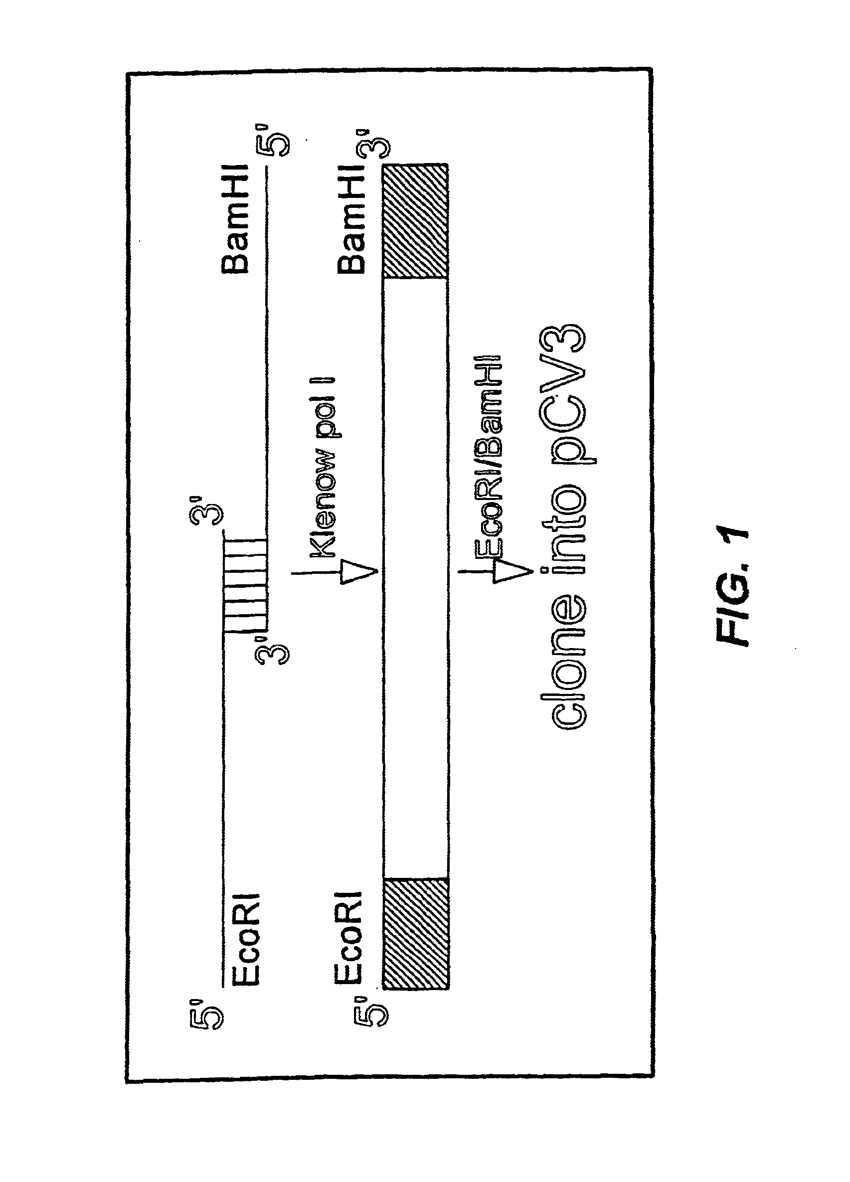 Mosaic protein and restriction endonuclease assisted ligation method for making the same