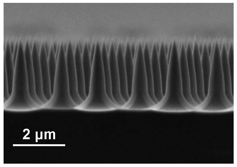 Nanowire mediated delivery system and methods comprising the same