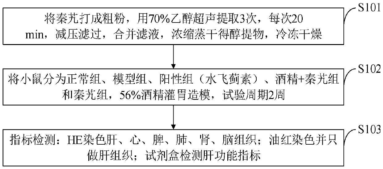 Medicine for preventing and treating alcoholic liver diseases and extraction method