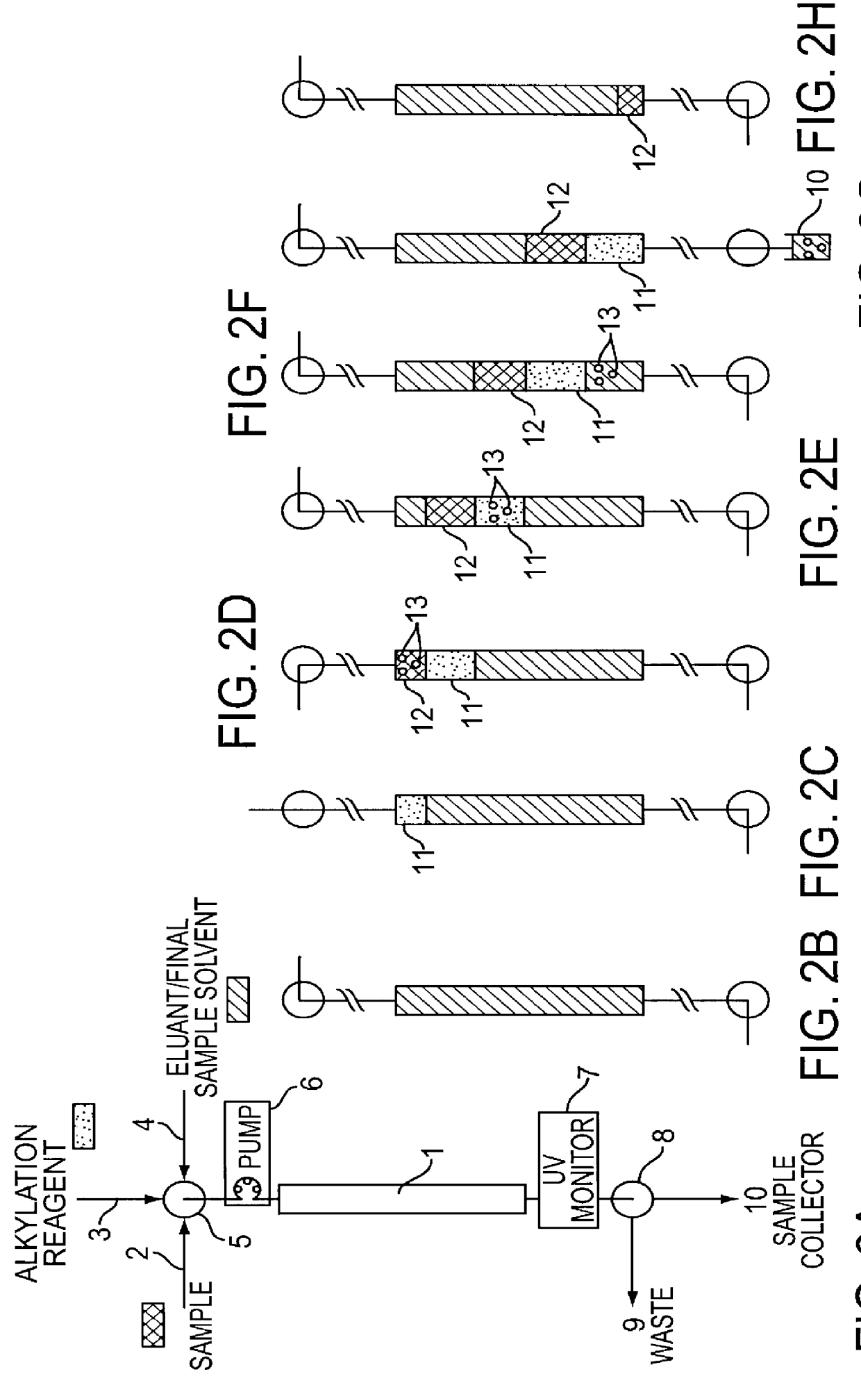 Automated system for two-dimensional electrophoresis