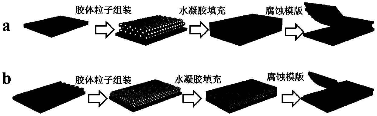 Cardiomyocyte detection method based on inverse opal hydrogel and its application