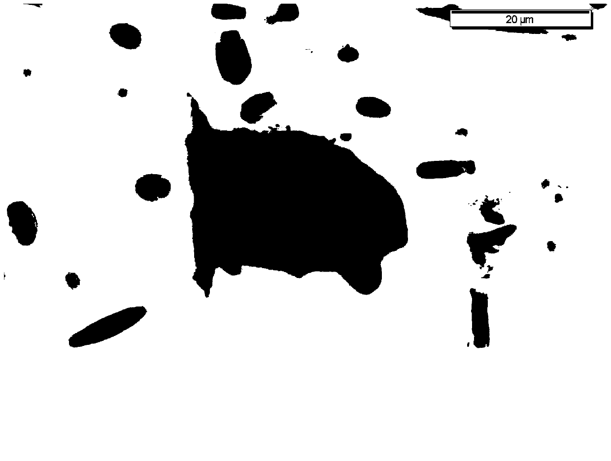 Quantitative protein silver staining method of freshwater ciliates