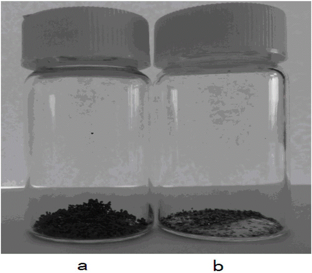 Preparation method of three-dimensional nitrogen doped graphene