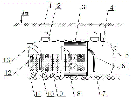 Domestic wastewater treater with ultrasonic degradation function