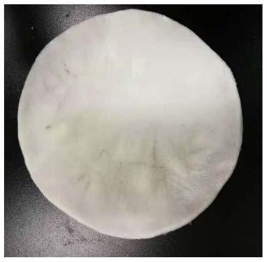 Film-coated bioceramic artificial bone and preparation method