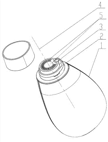 Skin testing device