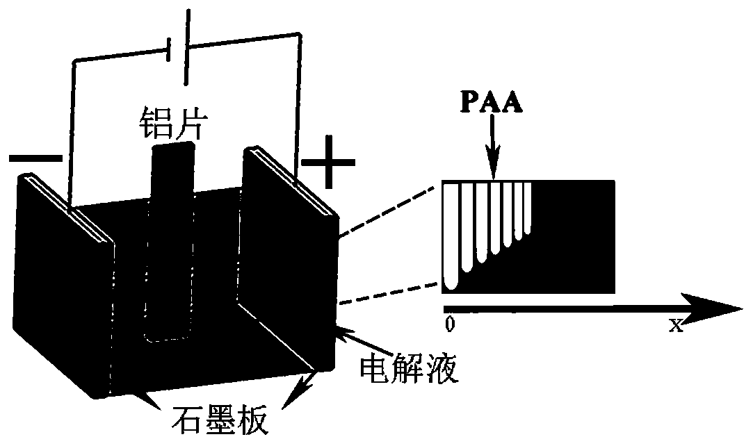 Preparation method of porous alumina die plate with pore diameter and thickness gradient change