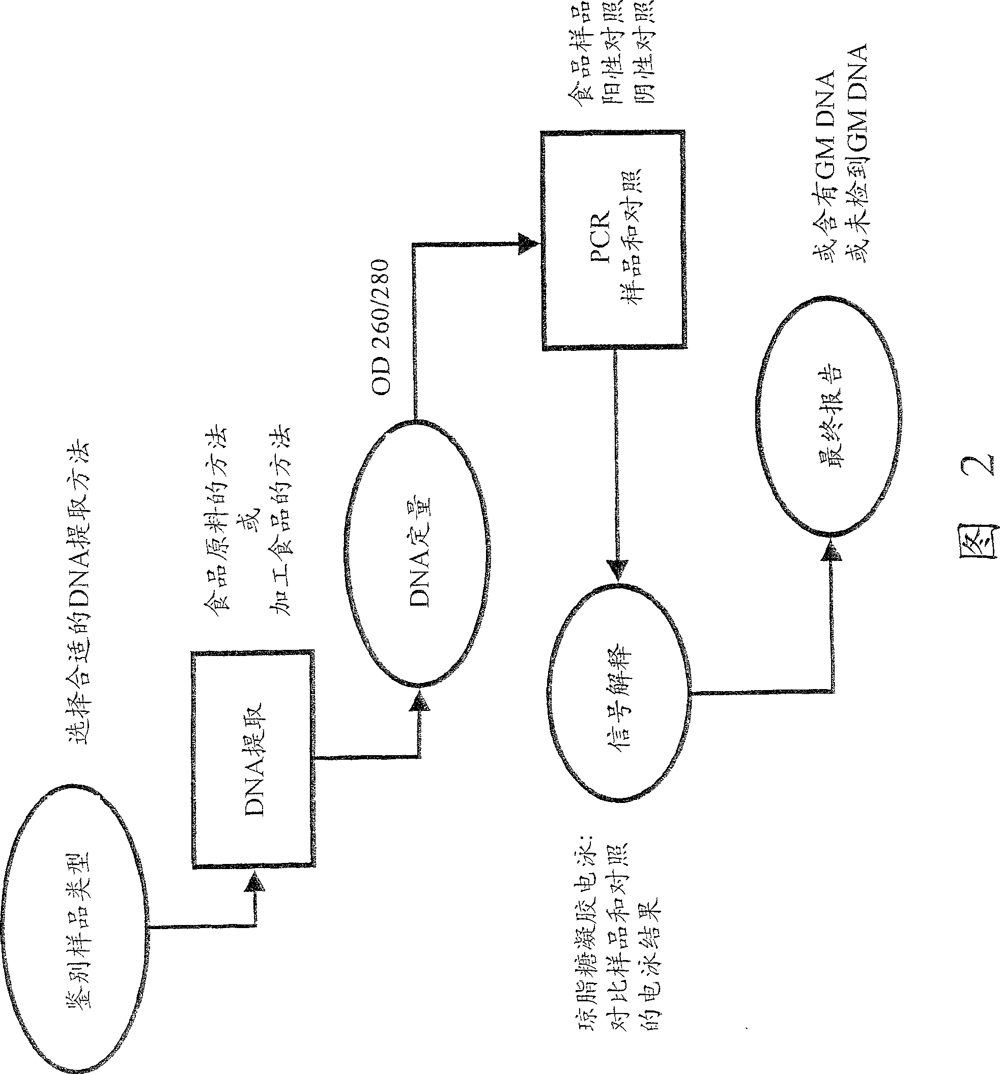 DNA extracting method and use thereof in detecting transgene component in food