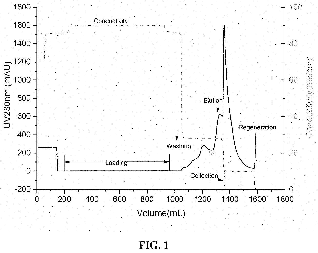 Method for dynamically removing recombinant human nerve growth factor precursor by hydrophobic interaction chromatography