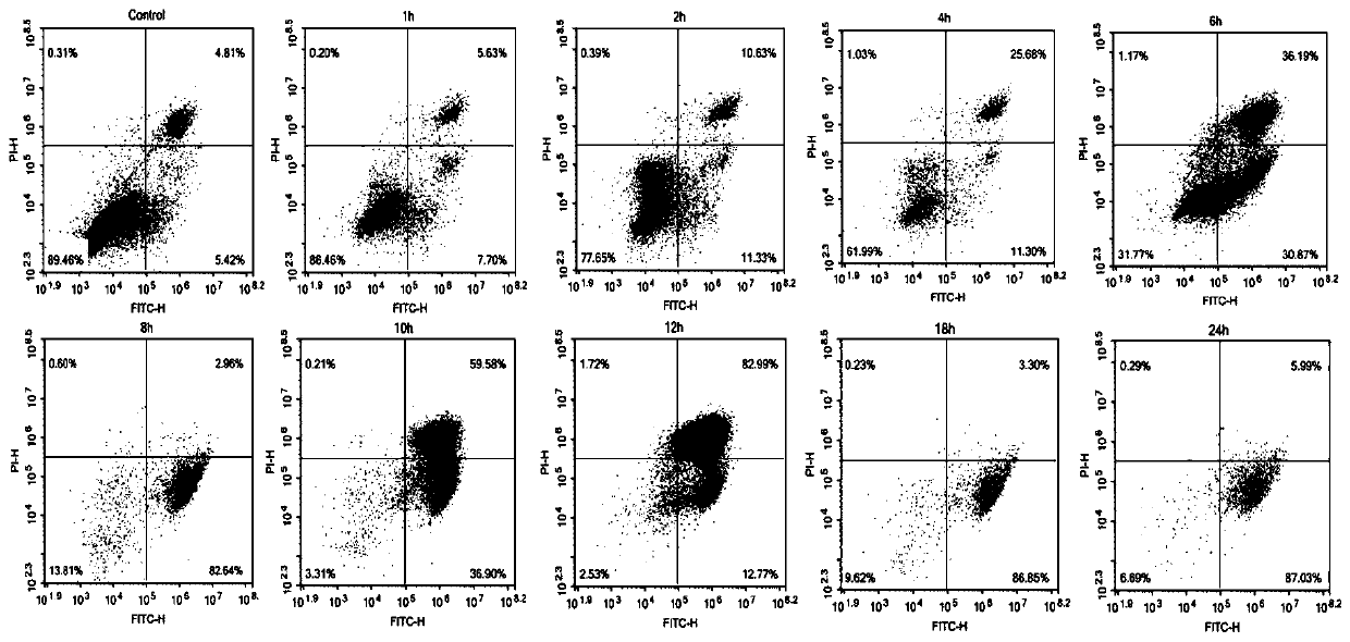 Dairy cow mammary gland epithelial cell injury model and construction method and application thereof