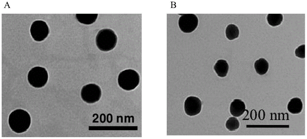 Anti-type Ⅱ diabetes long-acting nanocomposite peptide and its preparation method and application