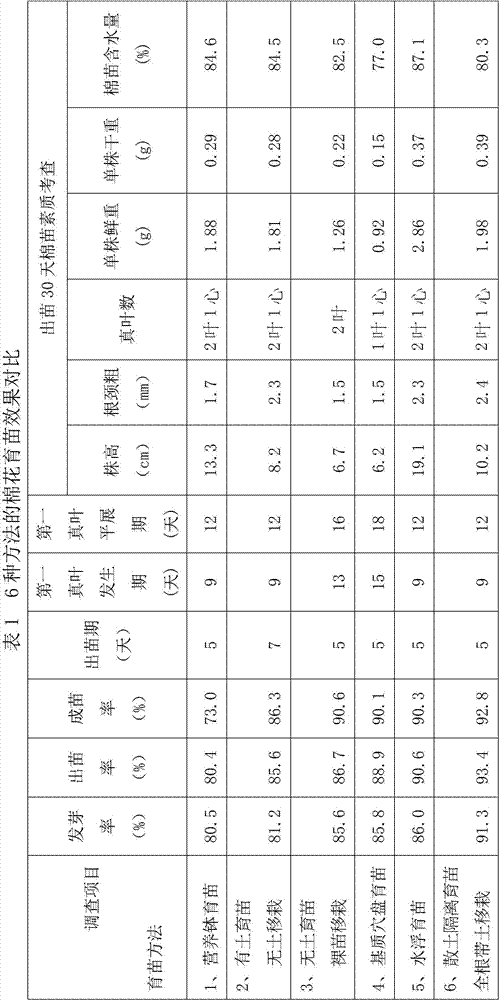 A kind of cotton seedling raising and transplanting method