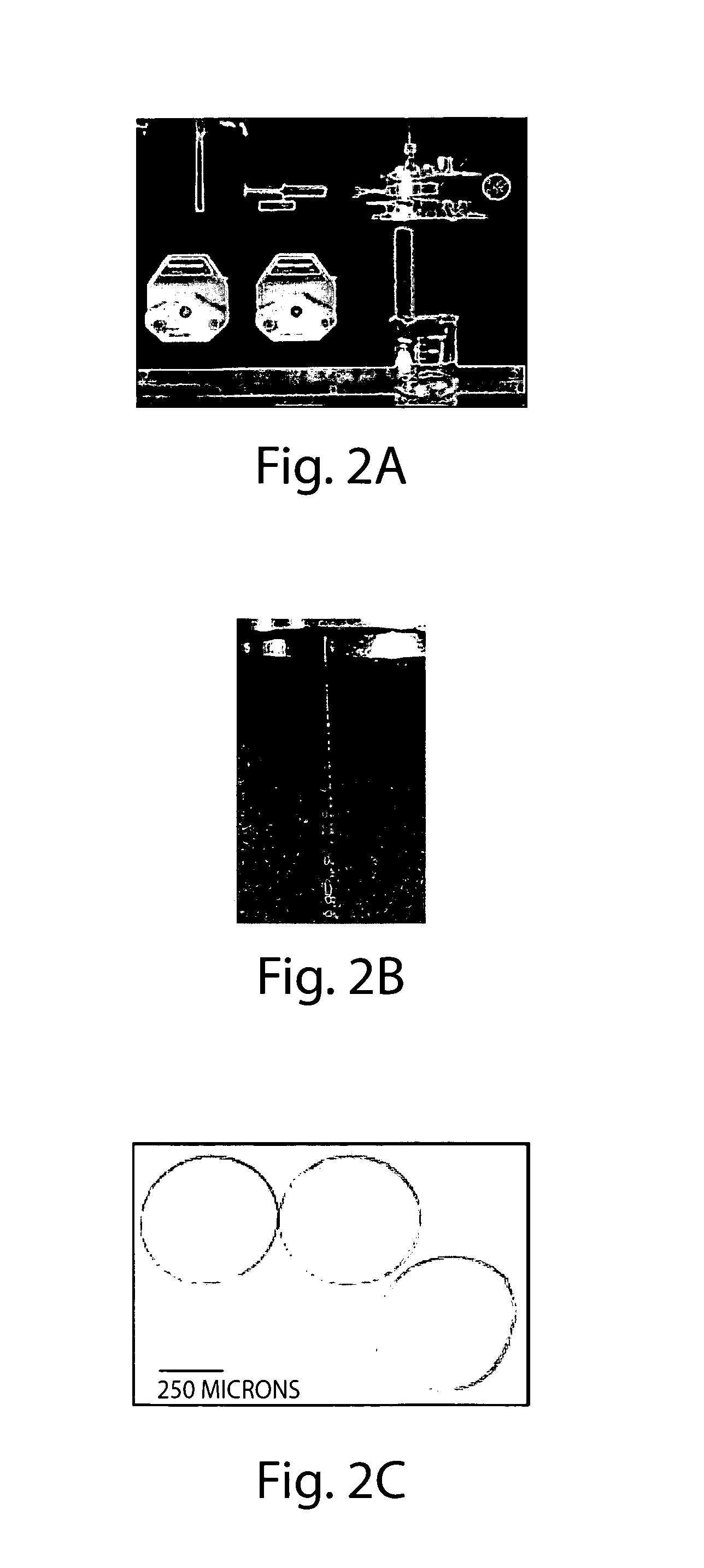 Systems and methods related to degradation of uremic toxins