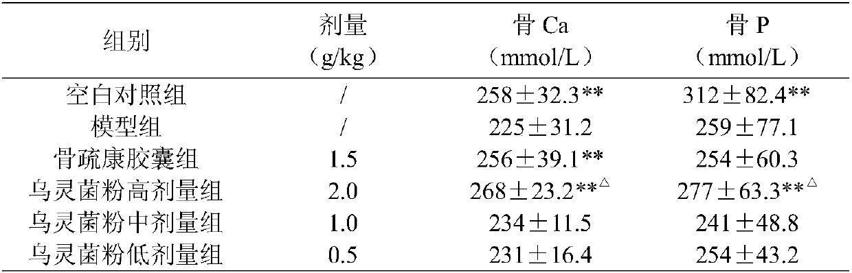 Application of Wuling powder in the preparation of medicines or health food for the prevention and treatment of osteoporosis and osteonecrosis
