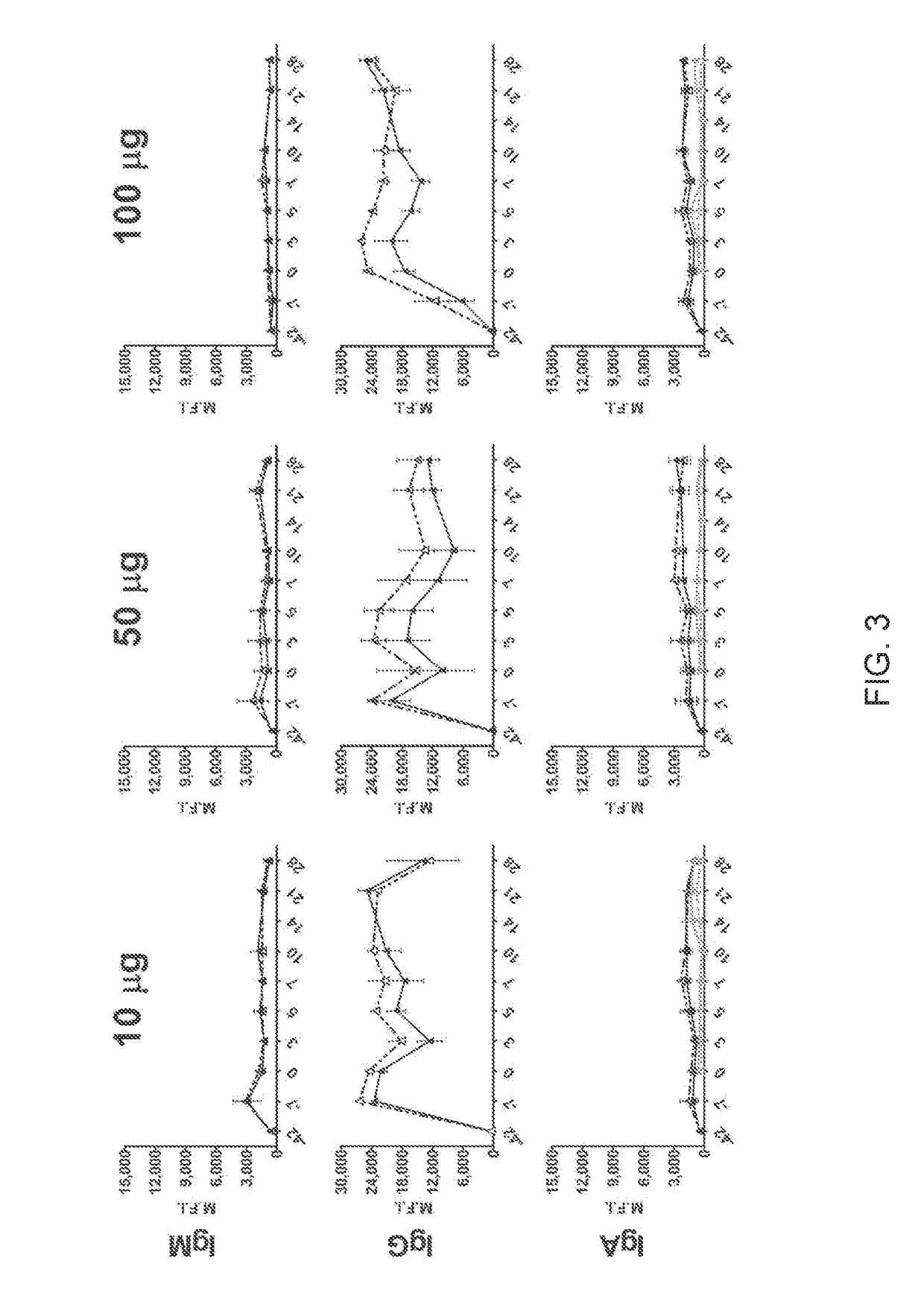 Hendra and nipah virus g glycoprotein immunogenic compositions