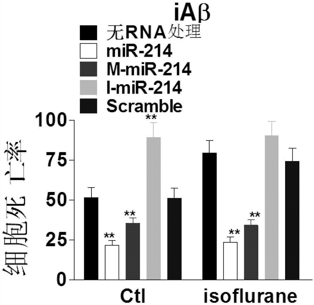 Application of miR-214 to preparation of product for preventing or treating alzheimer disease