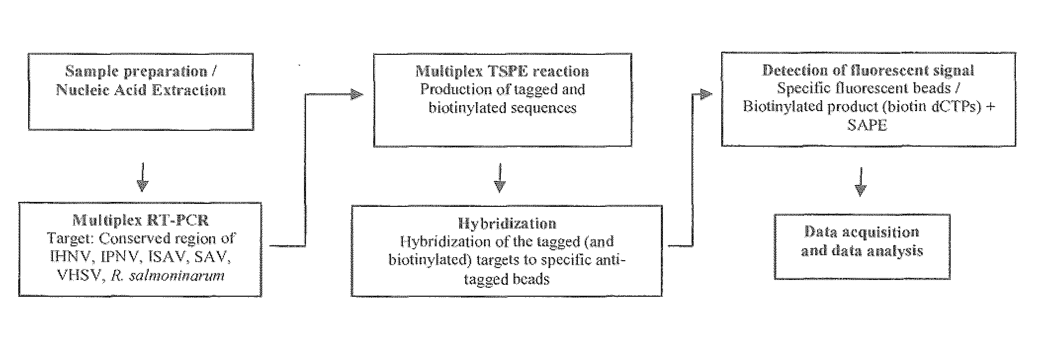 Multiplex diagnostic assay for detecting salmonid pathogens