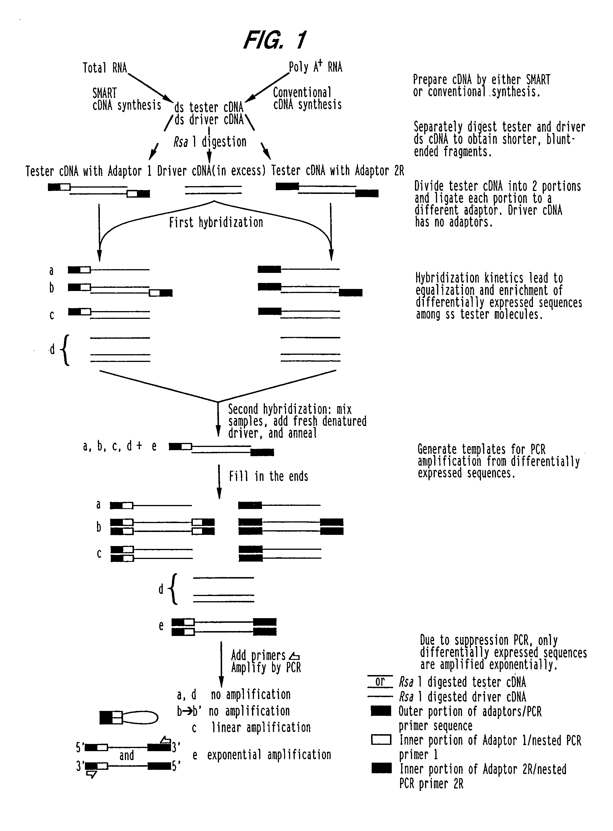 Methods for treating ICACC protein associated diseases