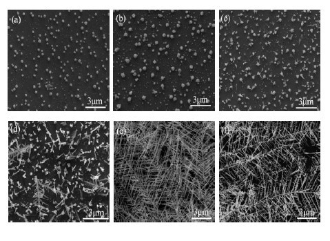 Silver nanodendrite surface enhanced Raman scattering (SERS) substrate, and preparation method and application thereof
