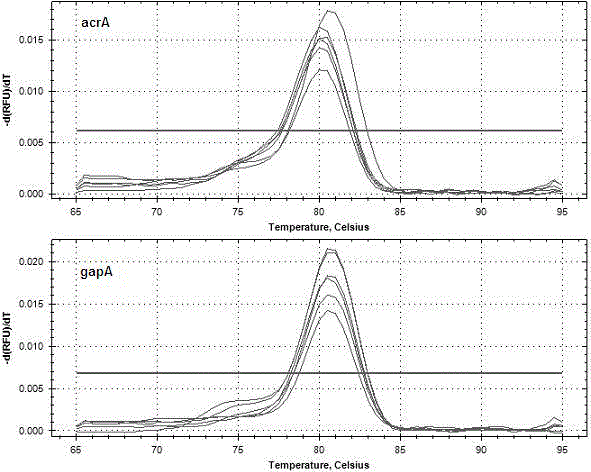 Application of liquiritin in preparing escherichia coli fluoroquinolone efflux pump inhibitor