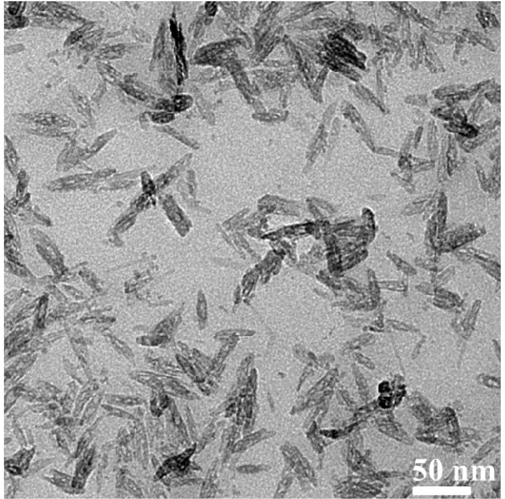 Preparation method of alpha-Fe2O3 mesoporous nanorod/nitrogen-doped graphene composite