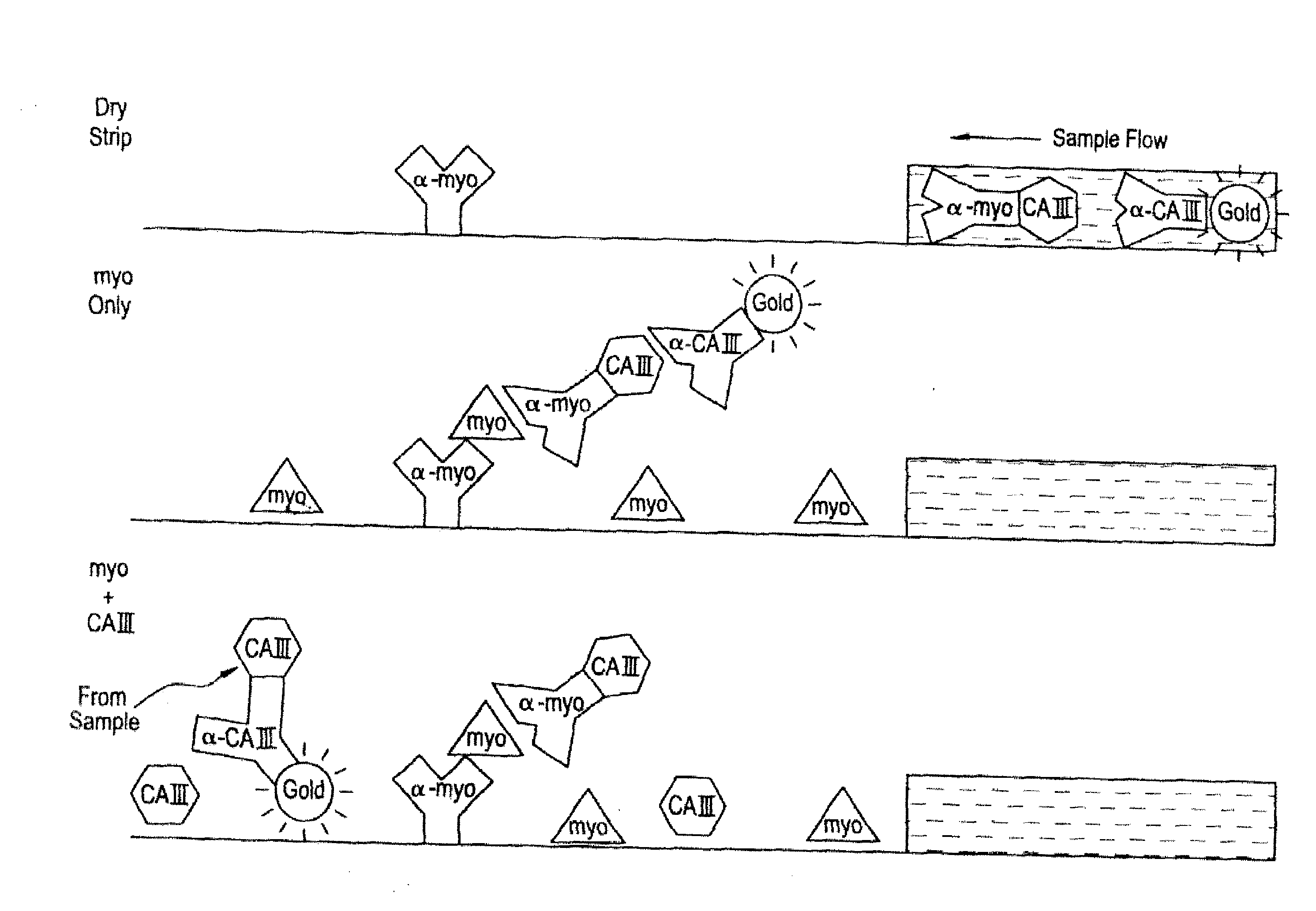 Differential Immunoassay