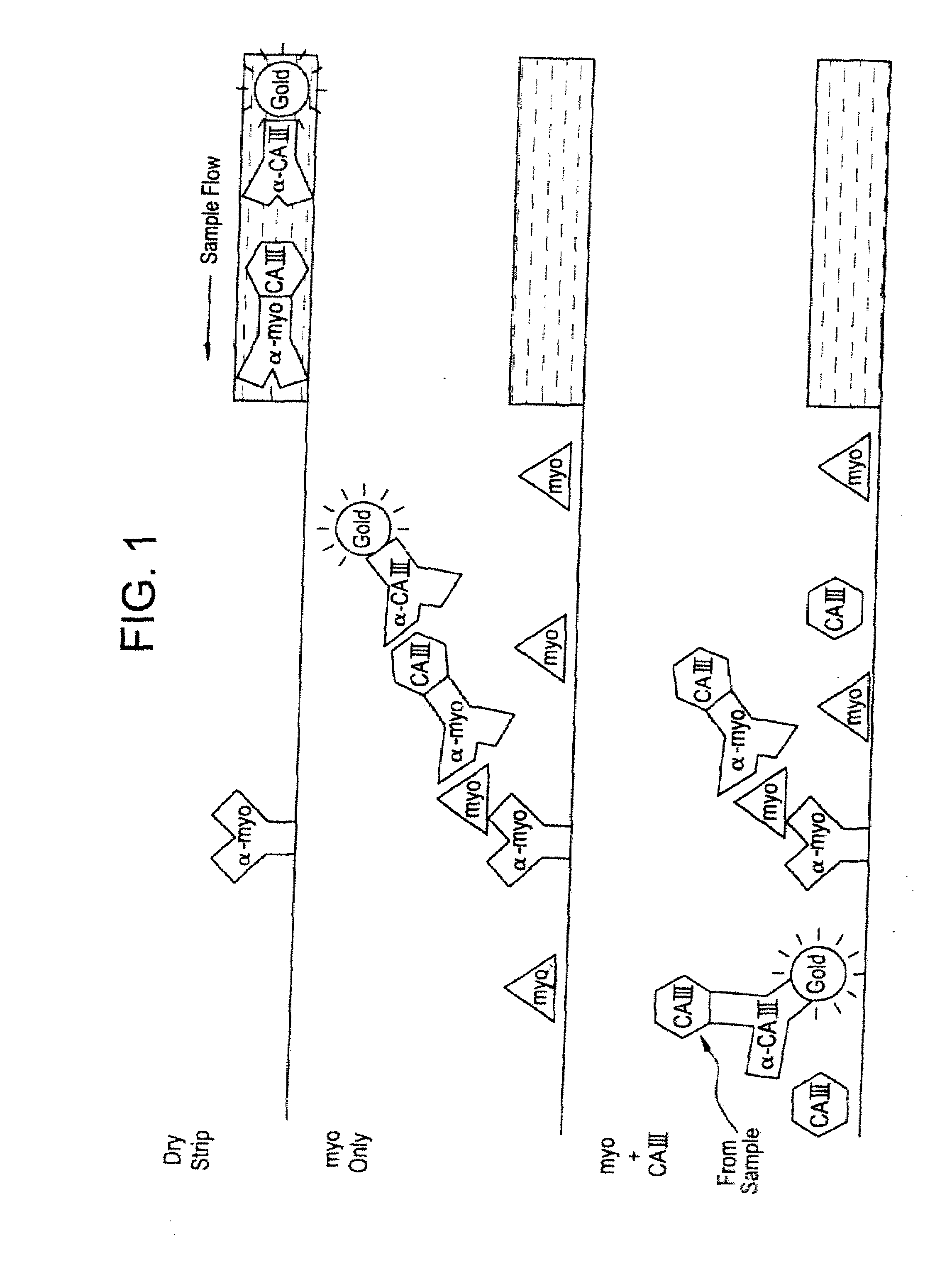 Differential Immunoassay