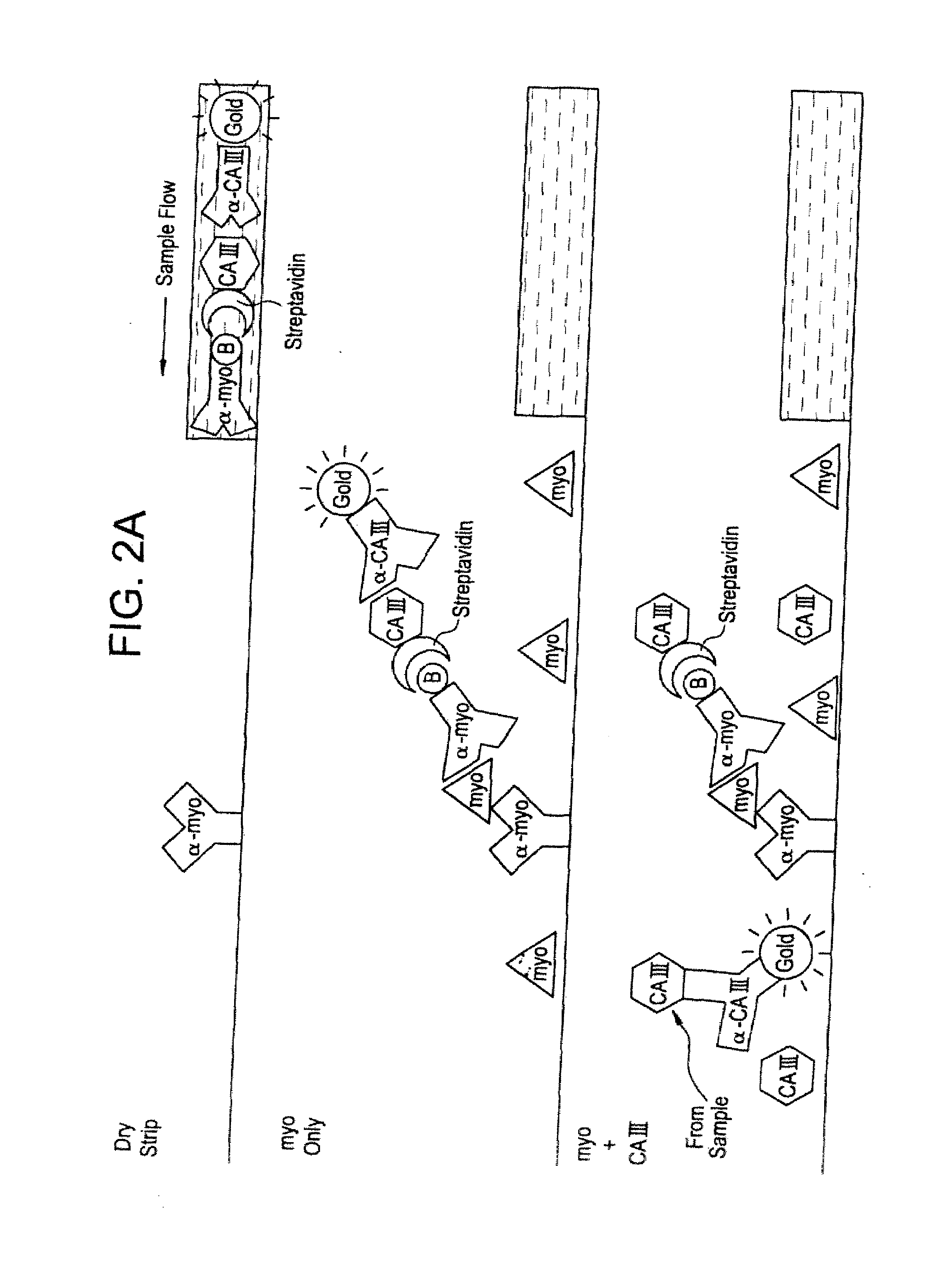 Differential Immunoassay