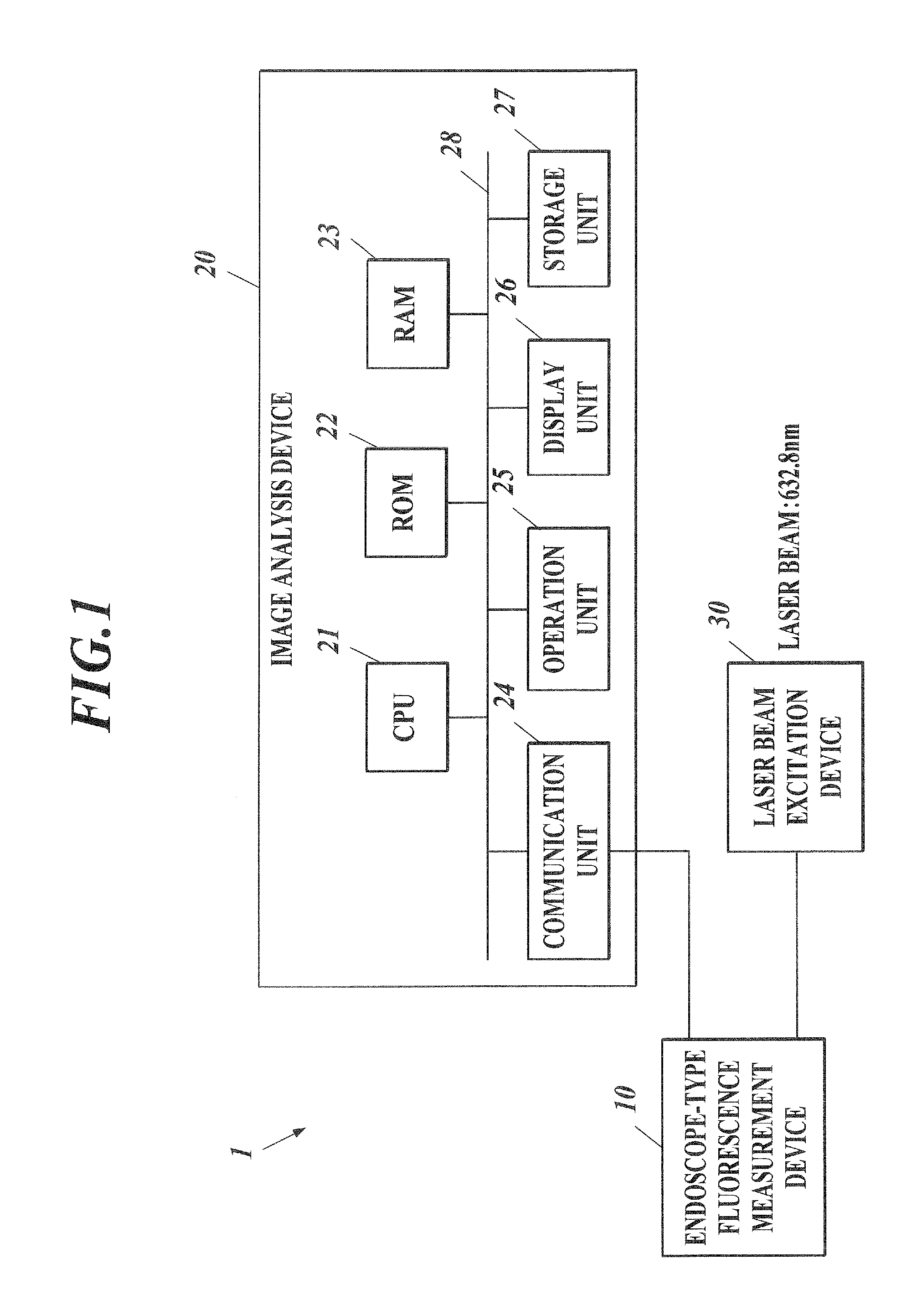 Method for detecting afferent lymph vessel inflow regions and method for identifying specific cells