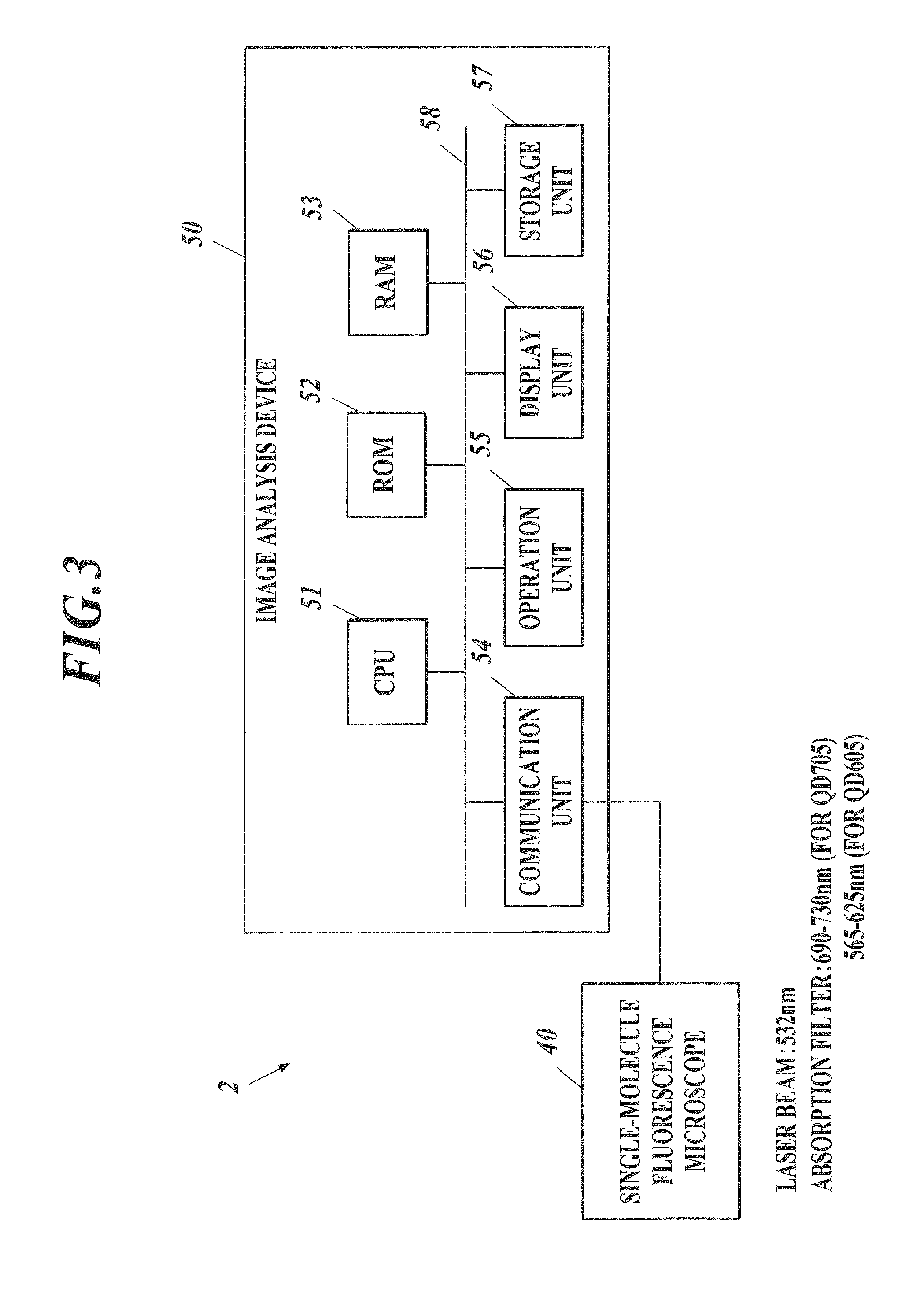 Method for detecting afferent lymph vessel inflow regions and method for identifying specific cells