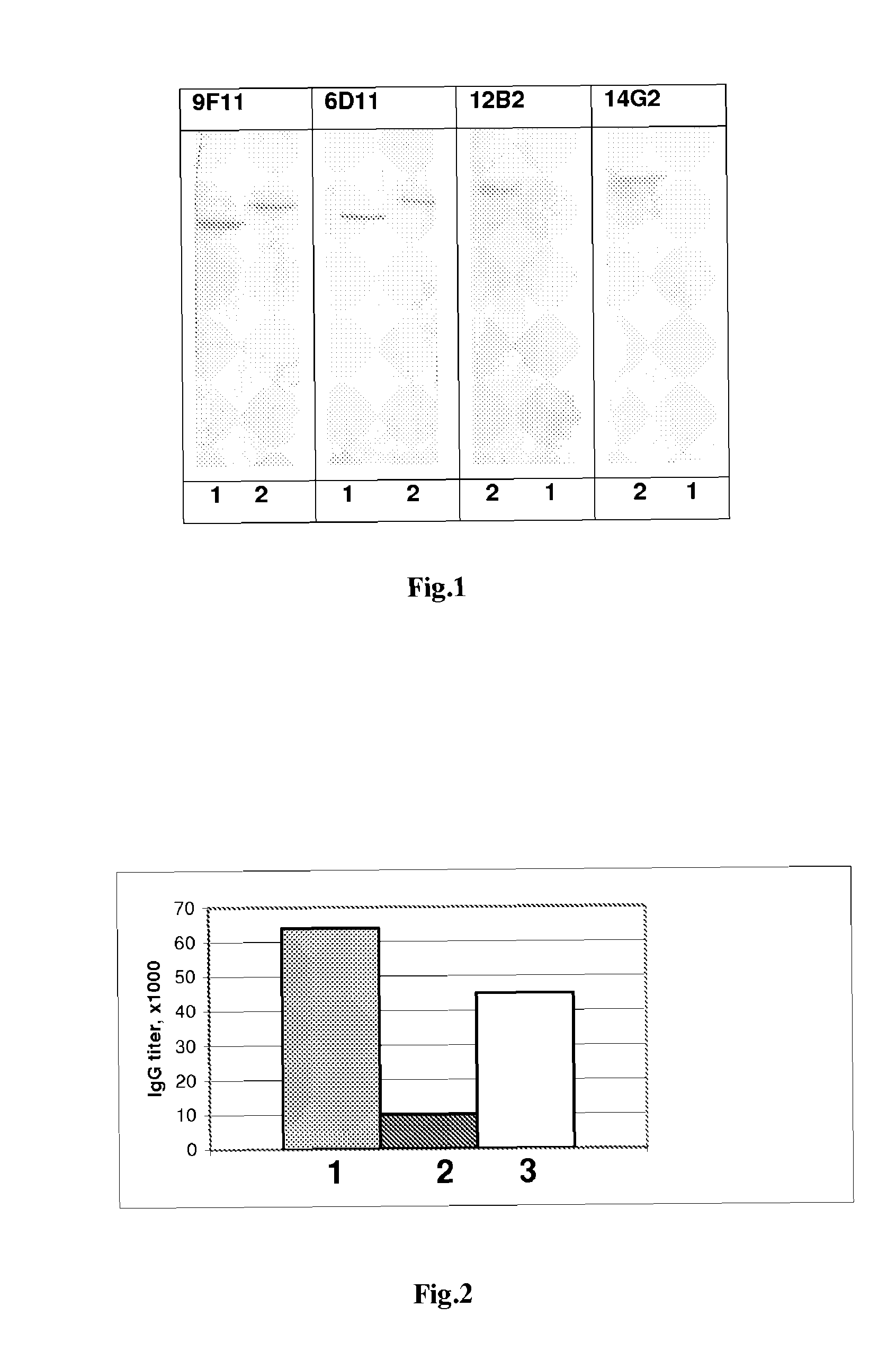 Process for the production of monoclonal antibodies