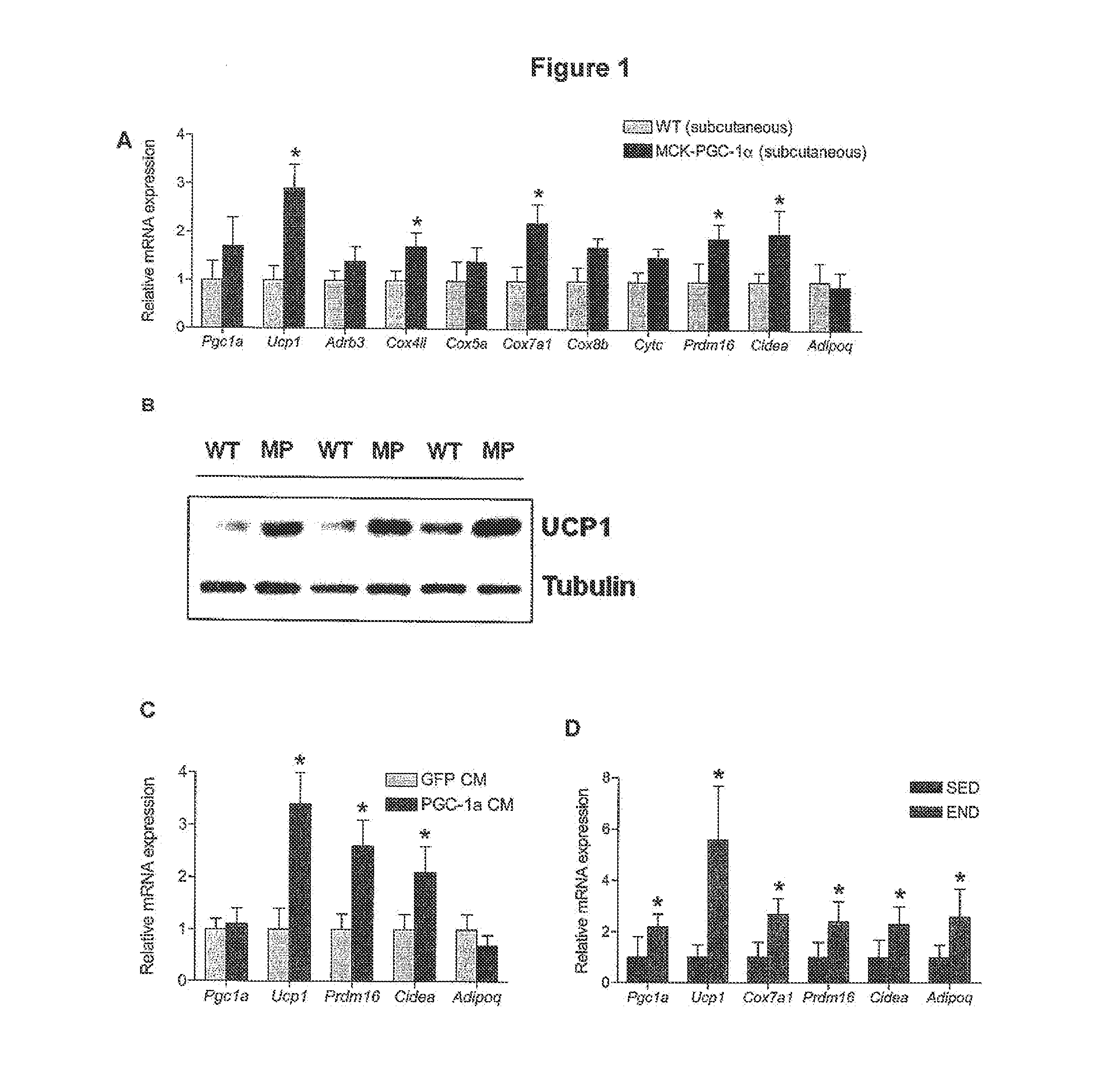 Therapeutic method of treating metabolic disorders