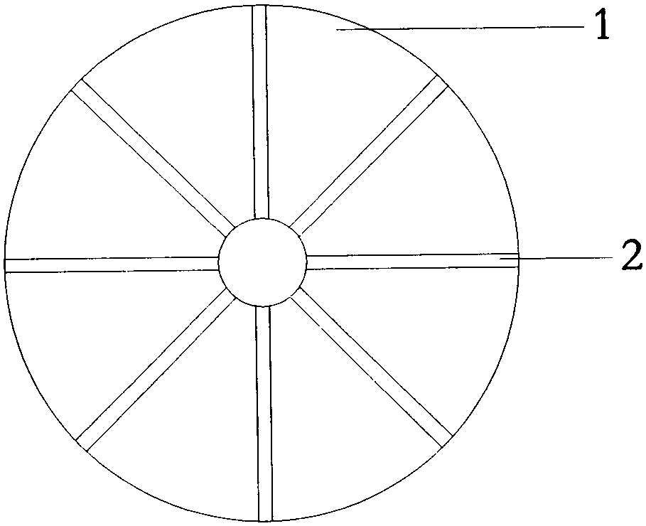 Fruit slicing device