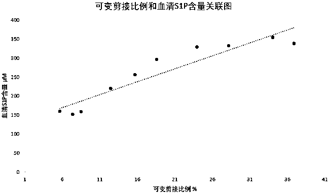 MFSD2B mutant gene and detection method thereof