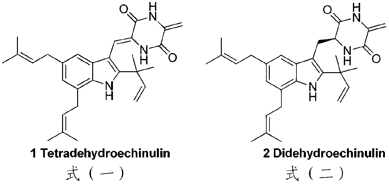 Application of indole diketopiperazine derivatives