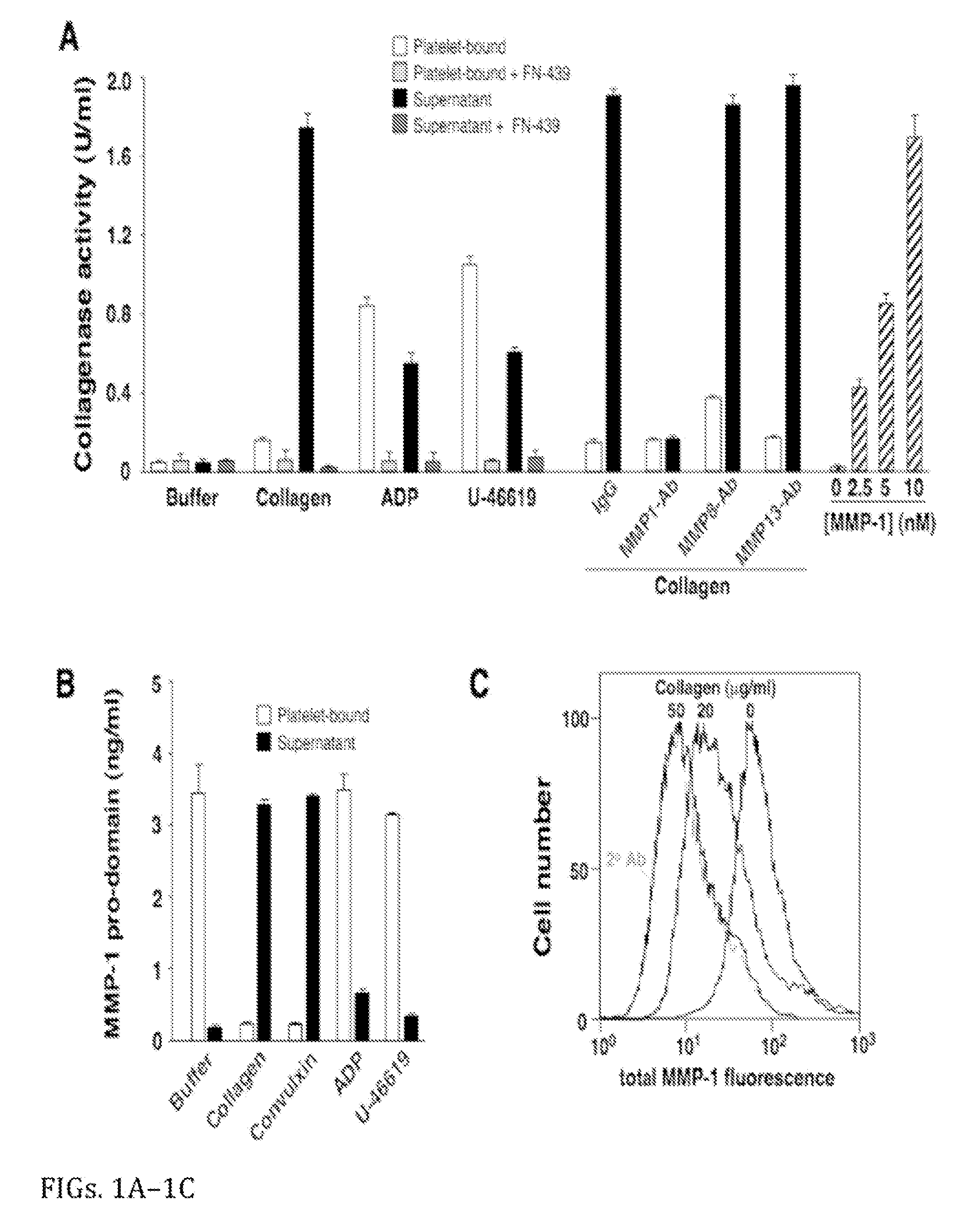 PAR-1 Activation by Metalloproteinase-1 (MMP-1)