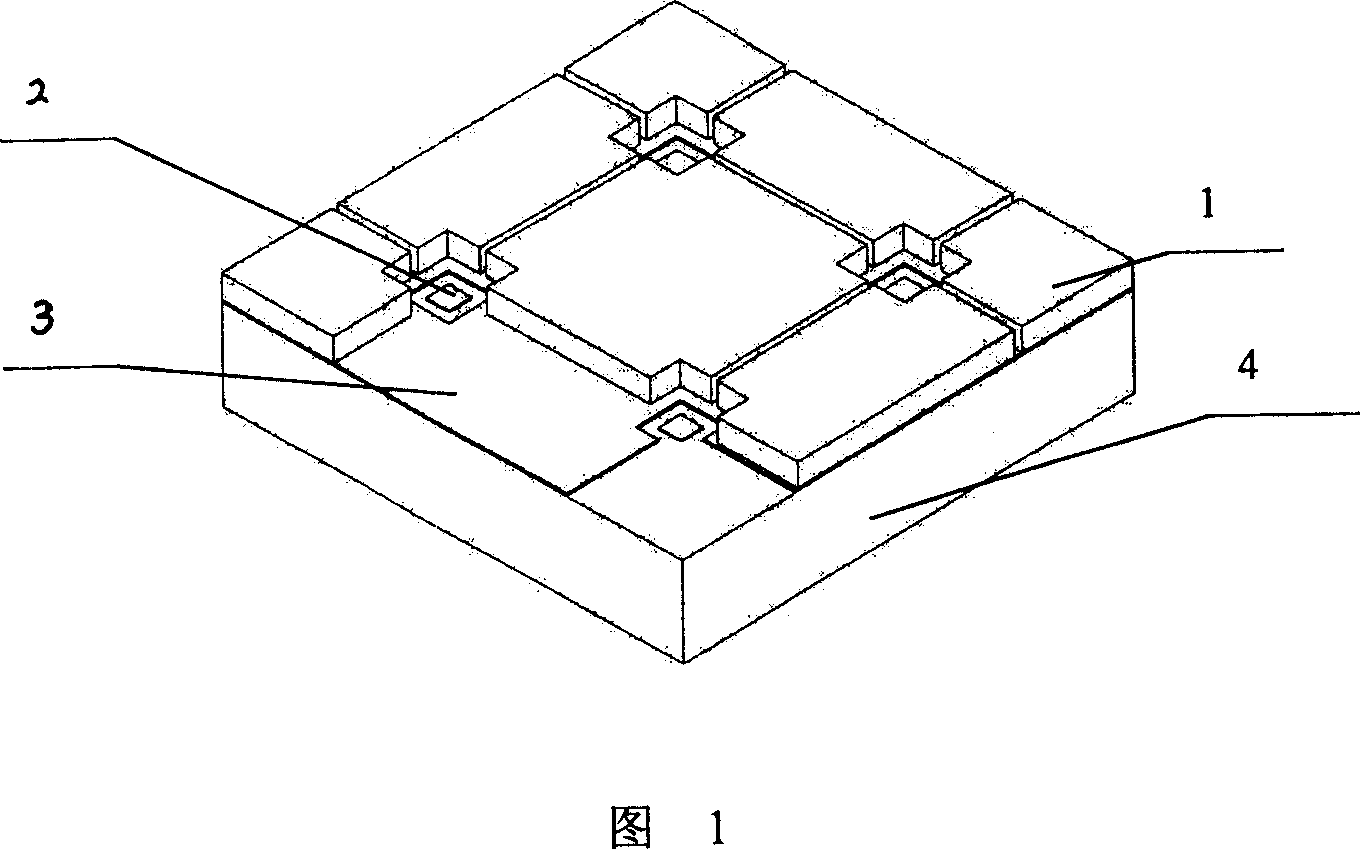 Apparatus for irritating animal cell and recording its physiological signal and its production and using method