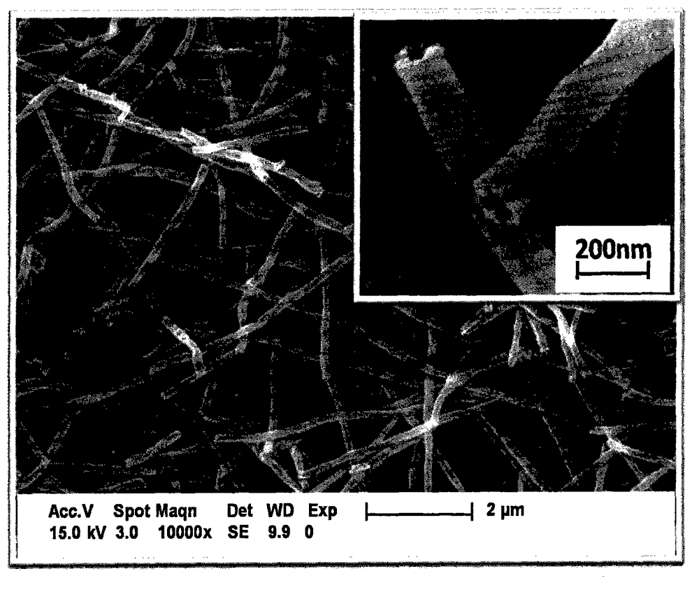 Erbium doped yttrium trifluoride upconversion luminescence hollow nanometer fiber preparation method