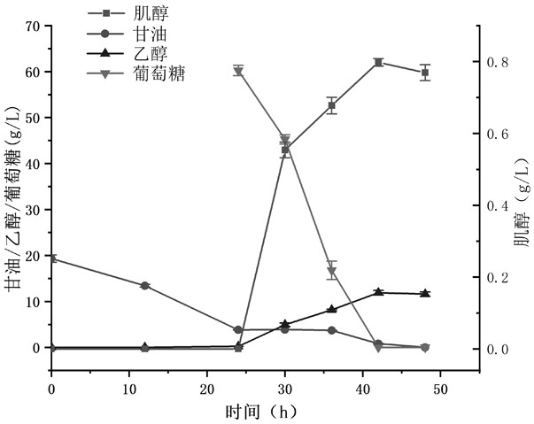 Pichia pastoris engineering bacteria for producing inositol and fermentation method