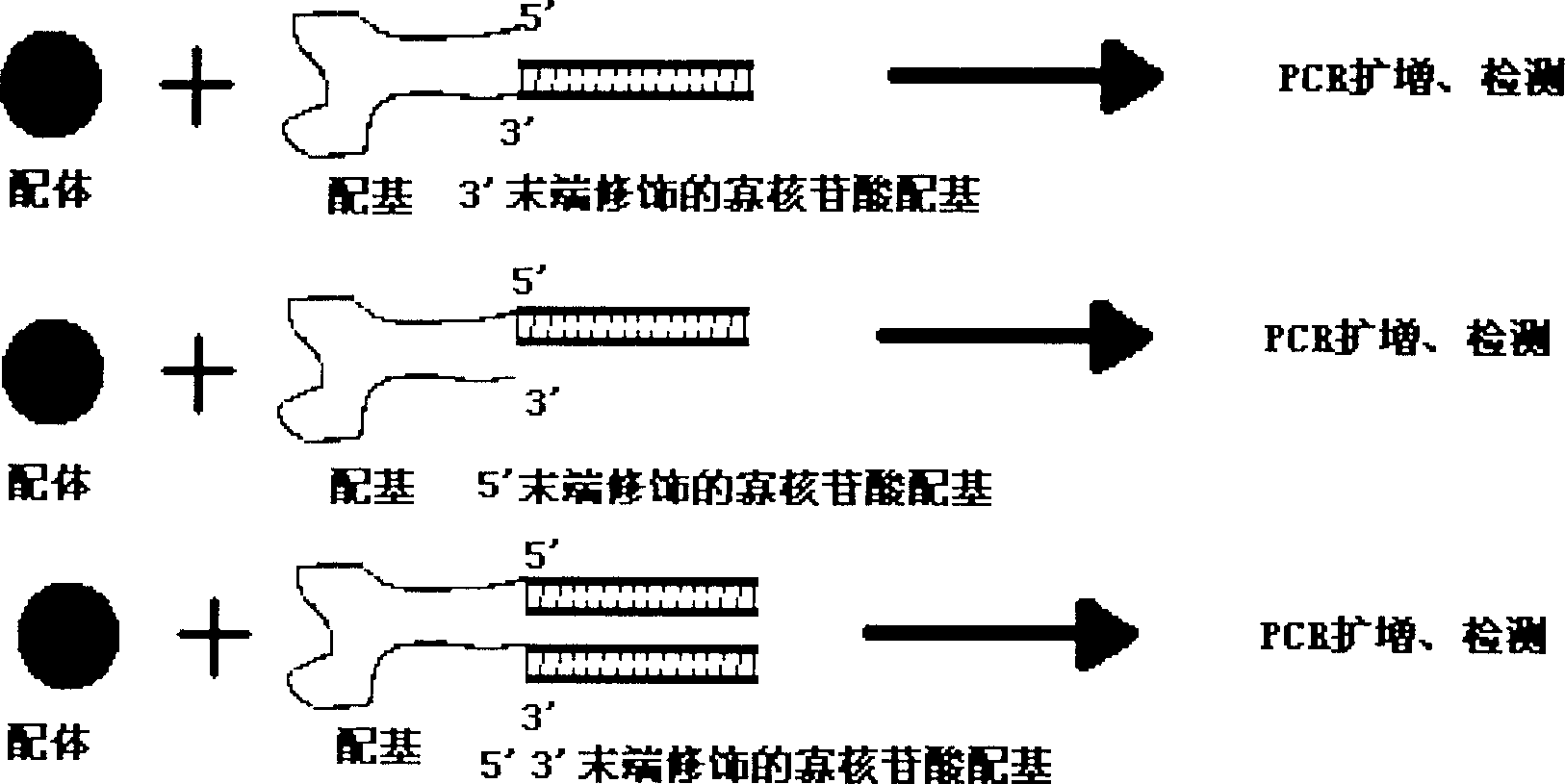 Antigen and ligand PCR pipe detecting reagent case, its manufacturing method and application