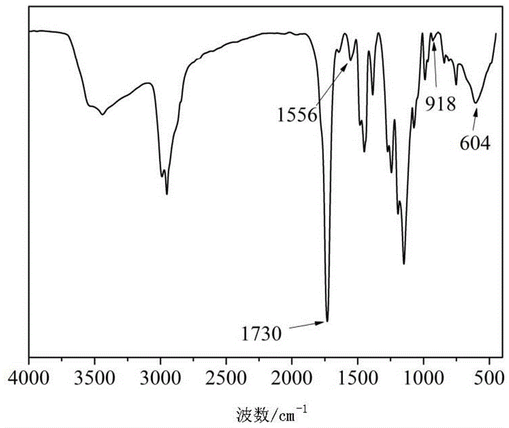 Preparation method of nanometer single ion conductor